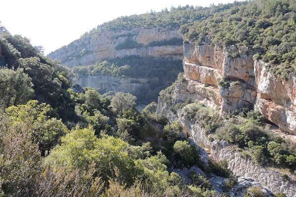 Cañón del Río Esca Salvatierra – Sigüés